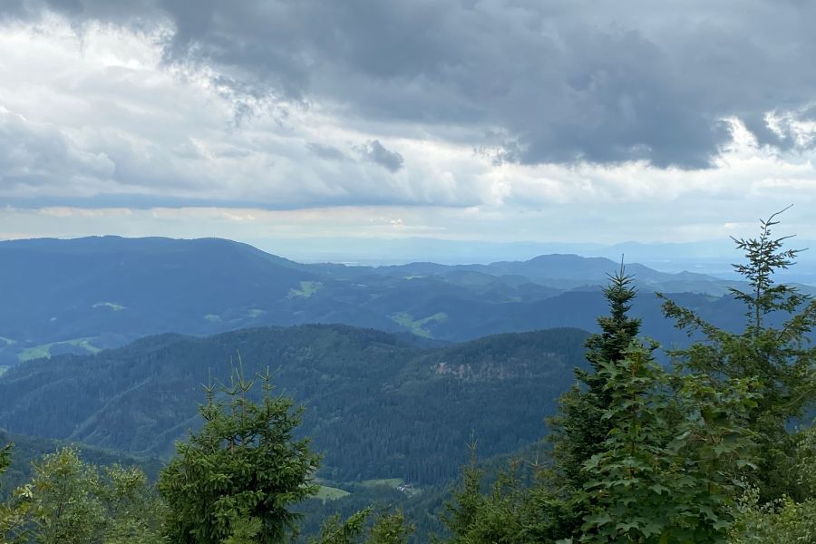 Blick über den romantischen Schwarzwald