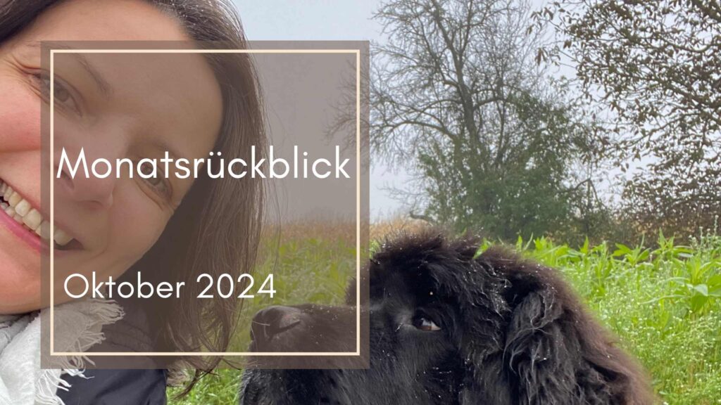 Monatsrückblick Oktober 2024