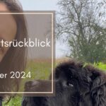 Monatsrückblick Oktober 2024