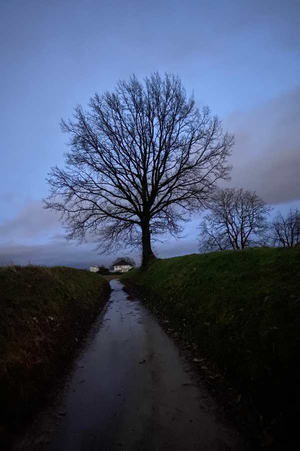 Weg bei Nacht