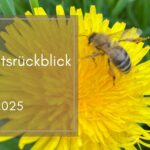 Monatrückblick April 2025