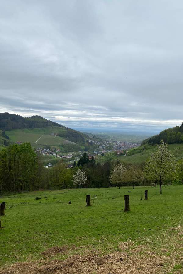 Das Wetter war durchwachsen, aber die Aussicht trotzdem toll.