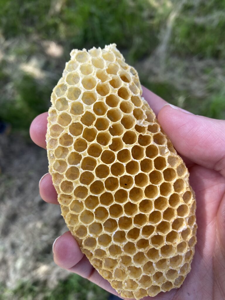 Naturwaben