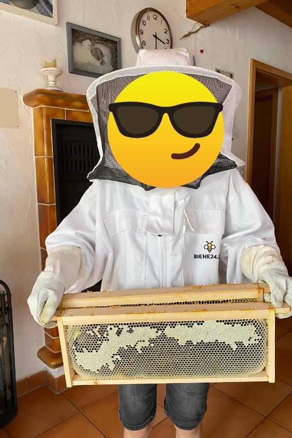 Honigernte Imker mit Waben
