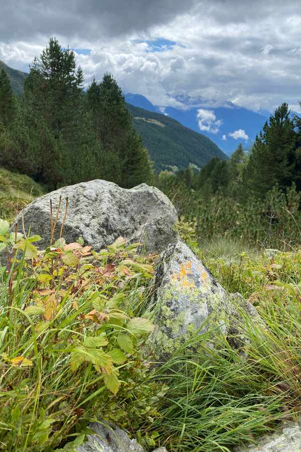Panorama Alpen