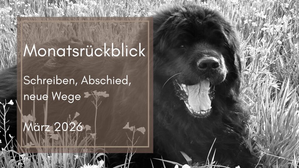 Monatsrückblick März 2026